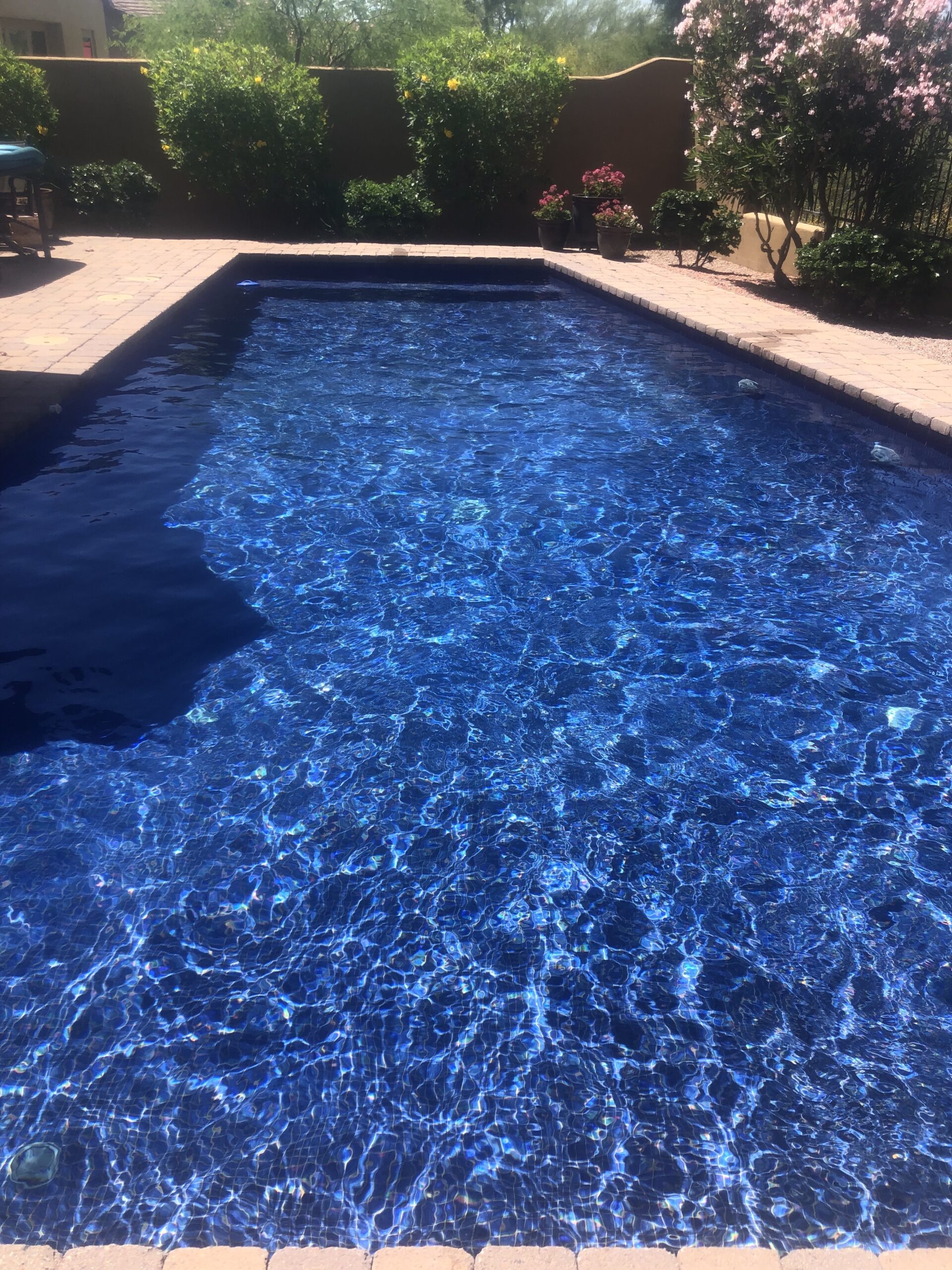 pool cleaning service in scottsdale az